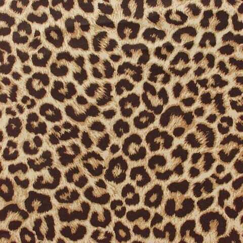 Jasmoneyxxx (Jasmine)